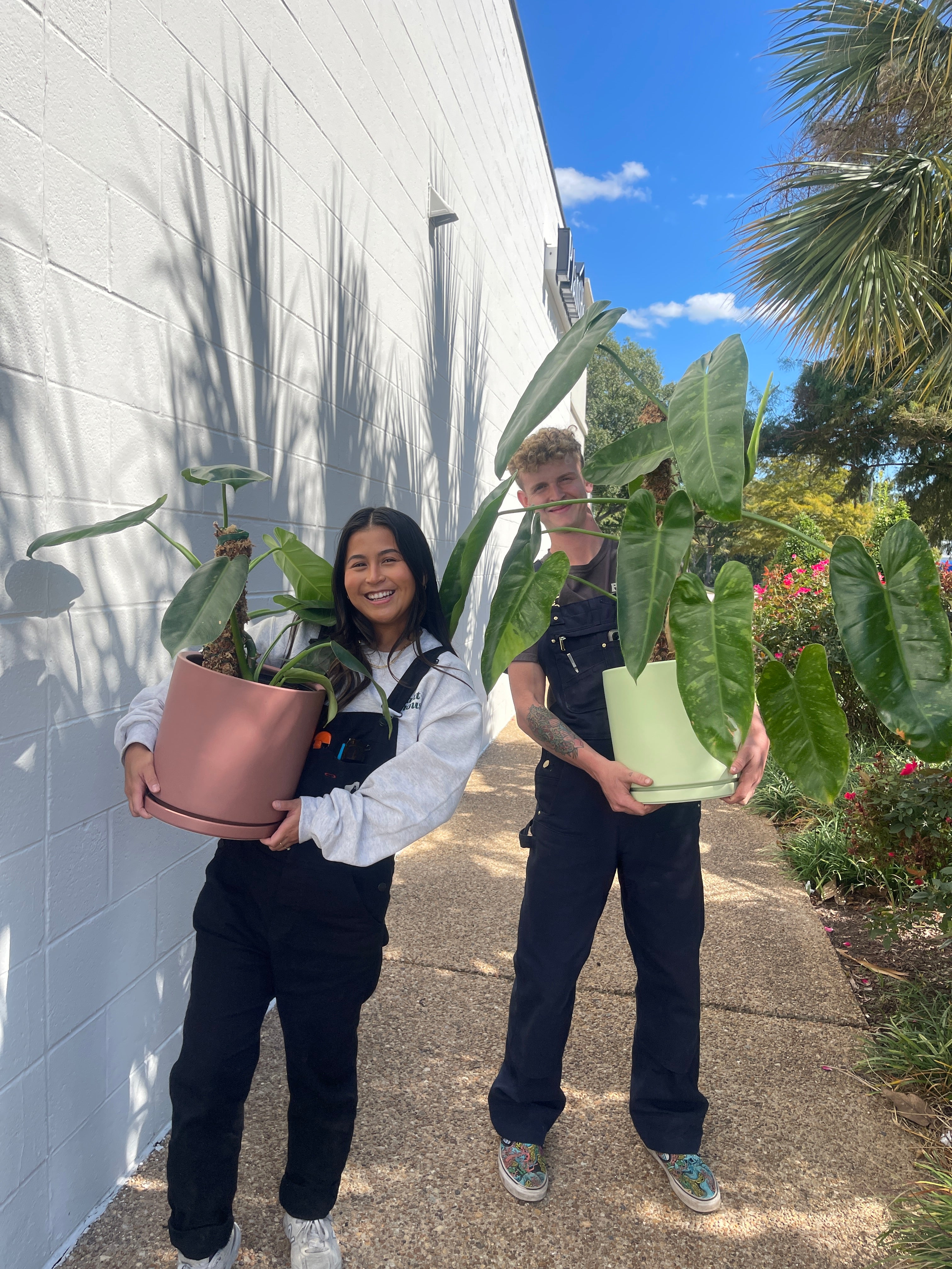 Home Grown Plant Shop store
