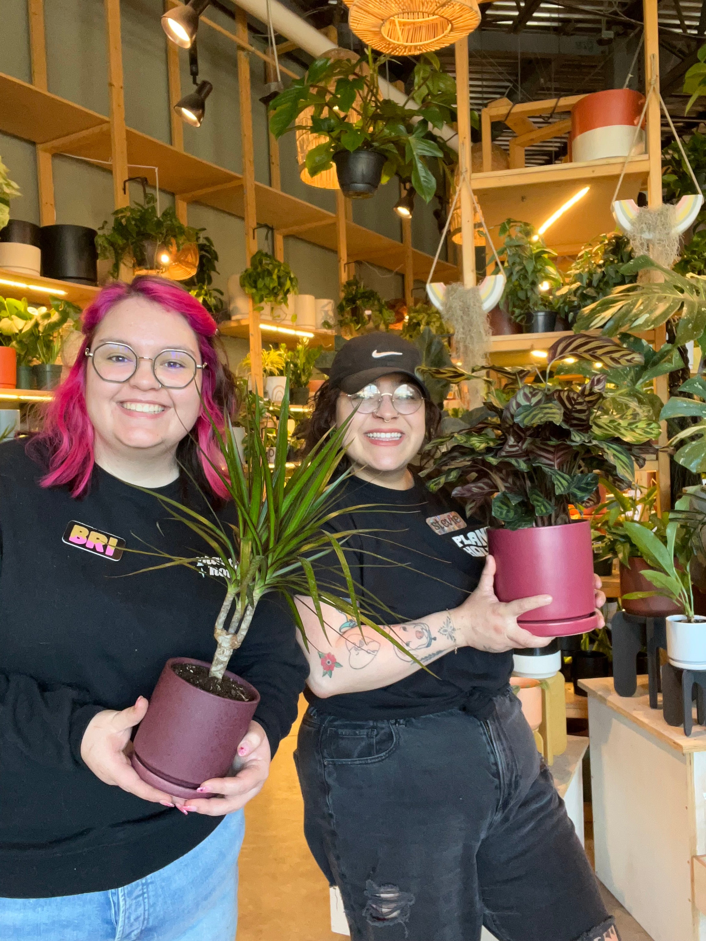 Home Grown workspace